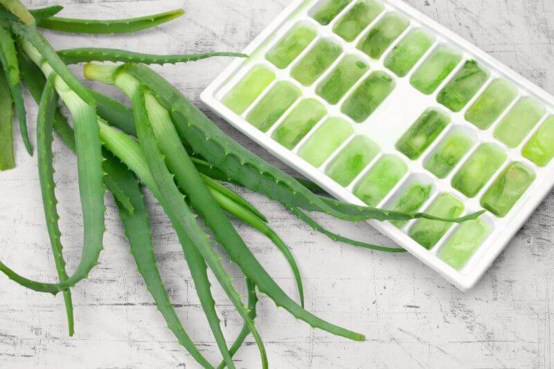 Cómo conservar el Aloe Vera para un uso más duradero - Borinquen Natural Online