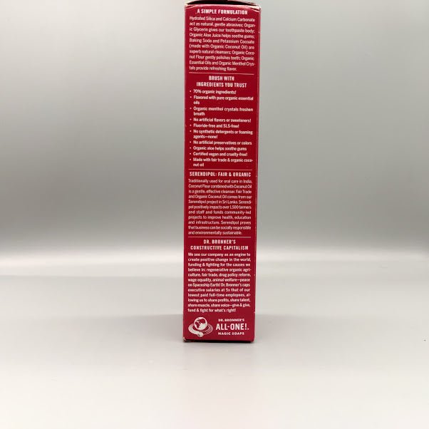 All - One Toothpaste Cinnamon 5 OZ (foto de archivo)