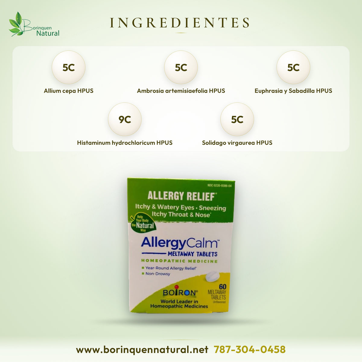 Ingredientes activos de AllergyCalm de Boiron: Allium cepa, Ambrosia, Euphrasia, Histaminum, Sabadilla y Solidago HPUS