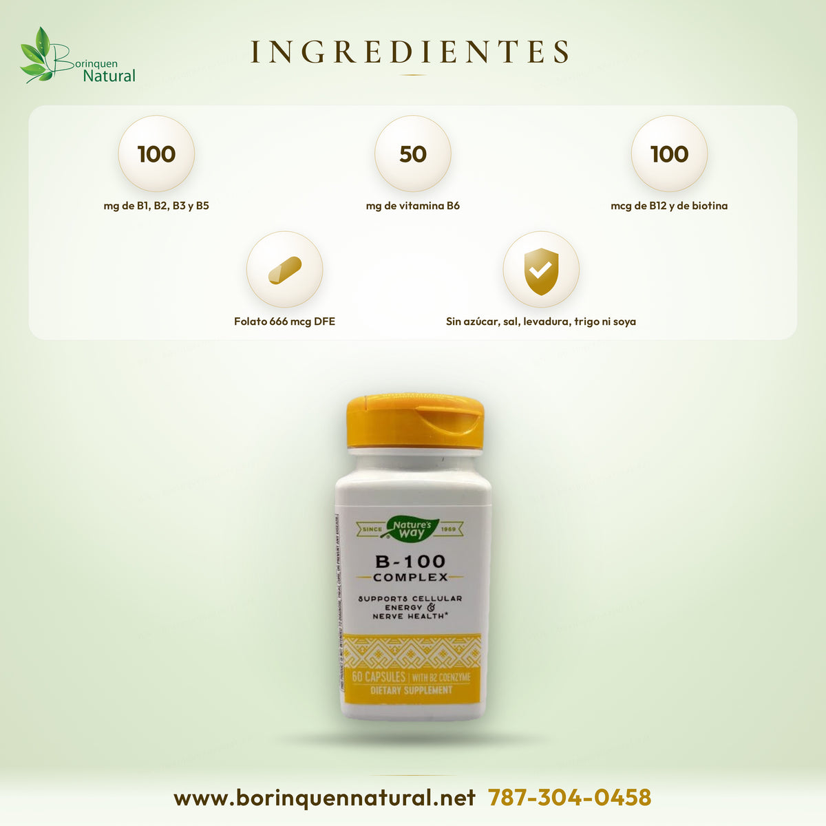 Ingredientes del B-100 Complex de Nature's Way: B1, B2, niacina, B6, folato, B12, biotina, colina e inositol