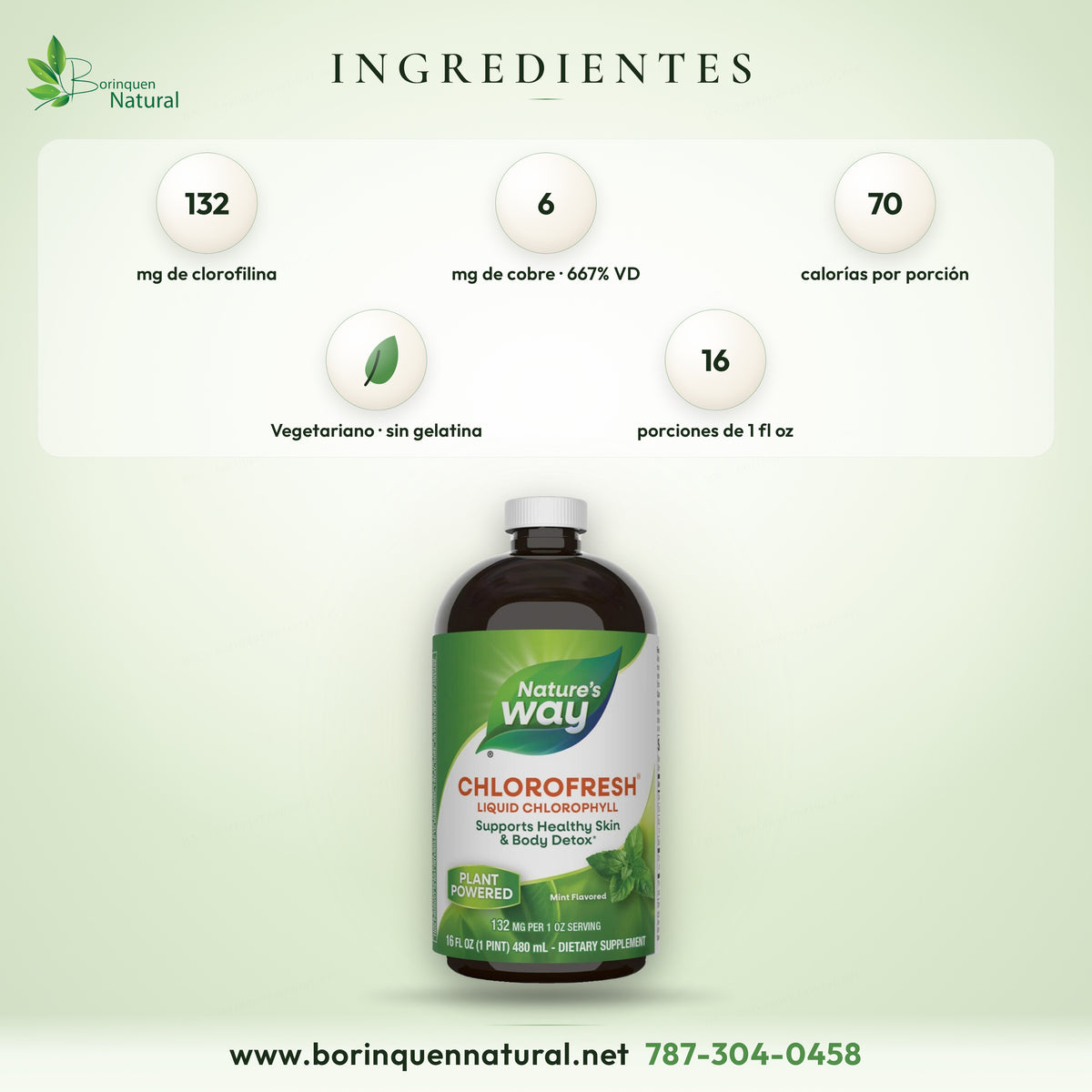 Ingredientes del Chlorofresh de Nature's Way: 132 mg de clorofilina del complejo de clorofilina de cobre y 6 mg de cobre por porción de 2 cucharadas