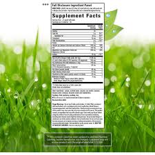 EstroPause Irwin Naturals Menopause Support 80 liquid soft-gels, calcio magnesio black cohosh — vista posterior del envase (foto de archivo)