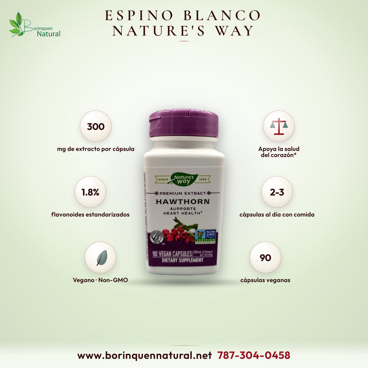 Espino blanco (hawthorn) Premium Extract de Nature's Way, apoya la salud del corazón, 90 cápsulas veganas