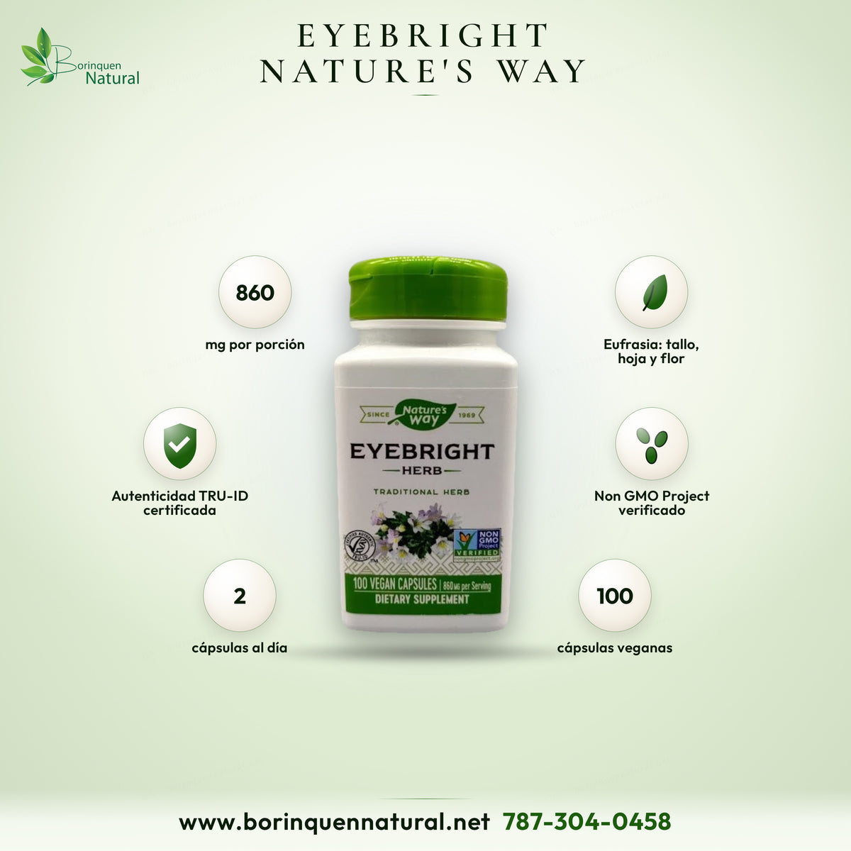 Eyebright Herb de Nature's Way, eufrasia en hierba tradicional, 860 mg por porción, 100 cápsulas veganas