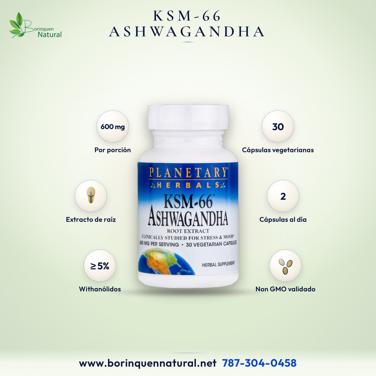 KSM-66 Ashwagandha de Planetary Herbals, extracto de raíz, 600 mg por porción, 30 cápsulas vegetarianas
