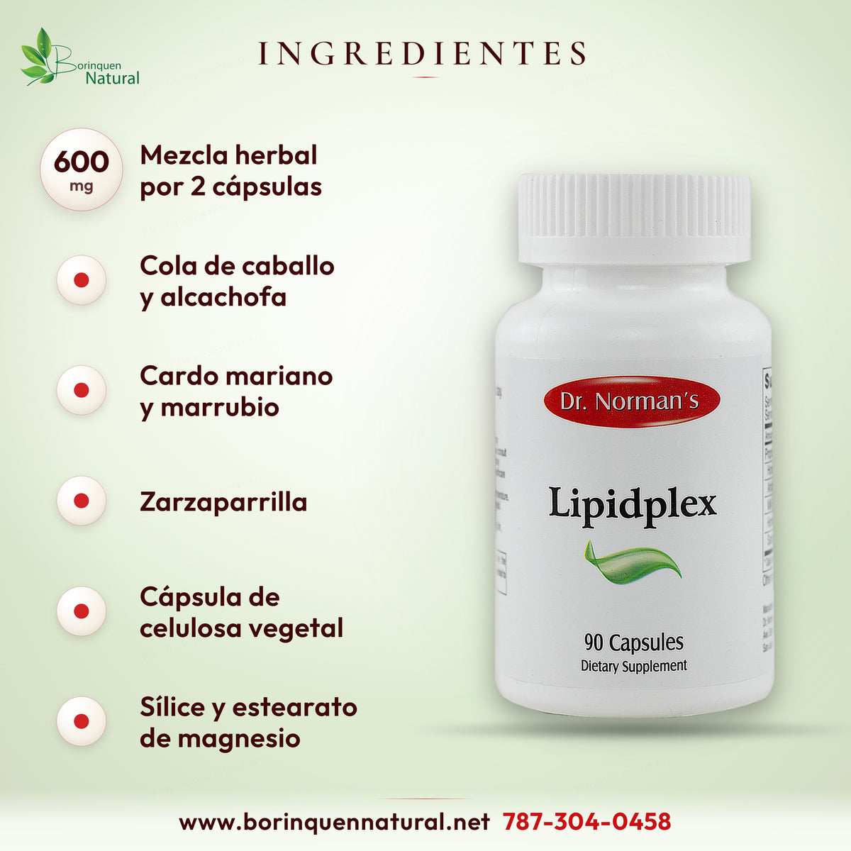 Lipidplex: cola de caballo, alcachofa, cardo mariano, marrubio, zarzaparrilla, cápsula, sílice y estearato de magnesio
