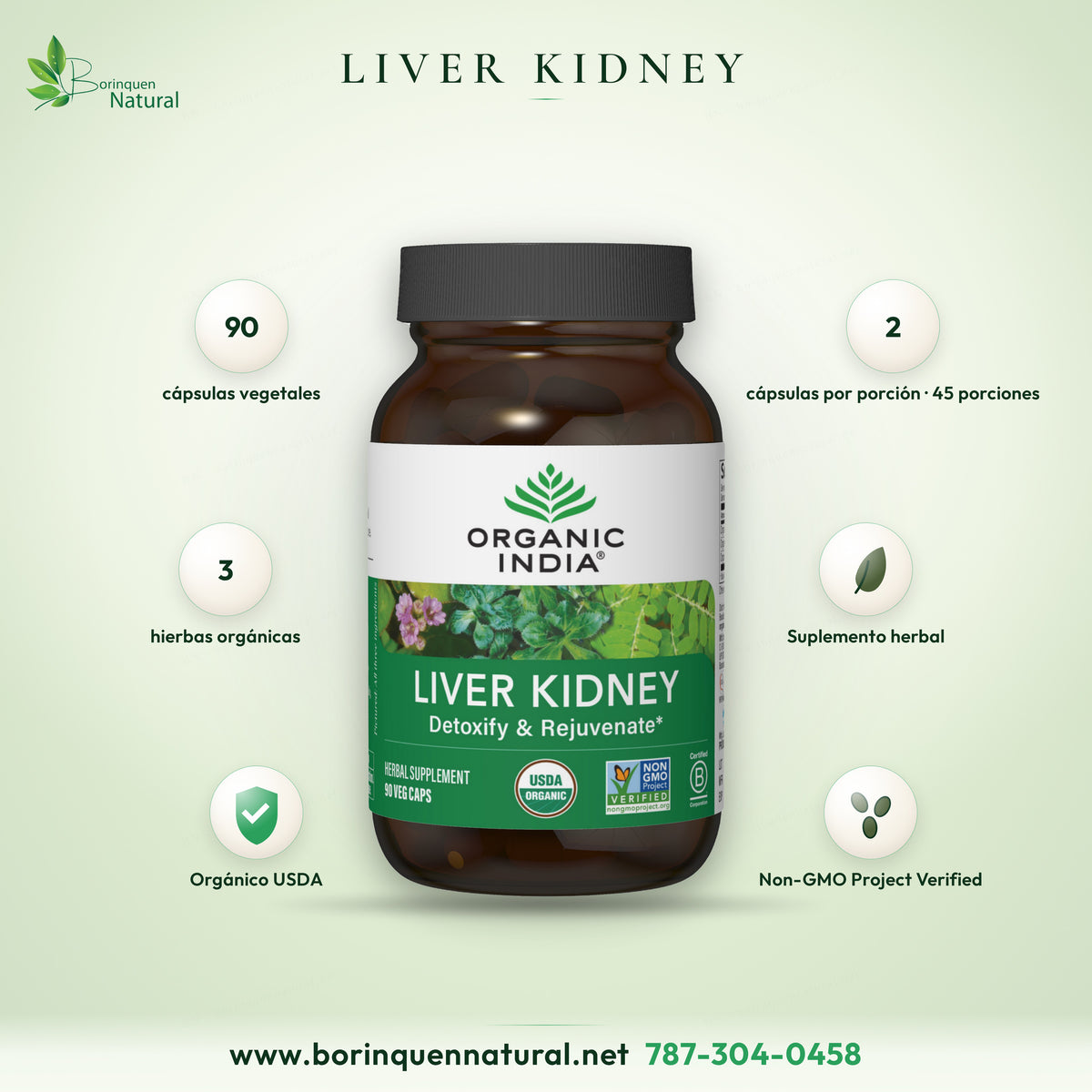 Liver Kidney Organic India, suplemento herbal orgánico con phyllanthus, picrorhiza y boerhavia, frasco de 90 cápsulas vegetales