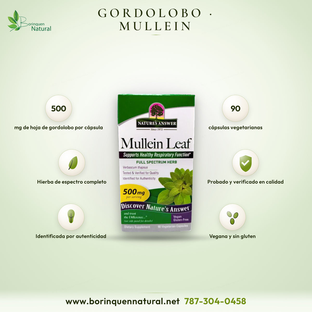 Mullein Leaf (hoja de gordolobo) de Nature's Answer, caja de 90 cápsulas vegetarianas de 500 mg de Verbascum thapsus