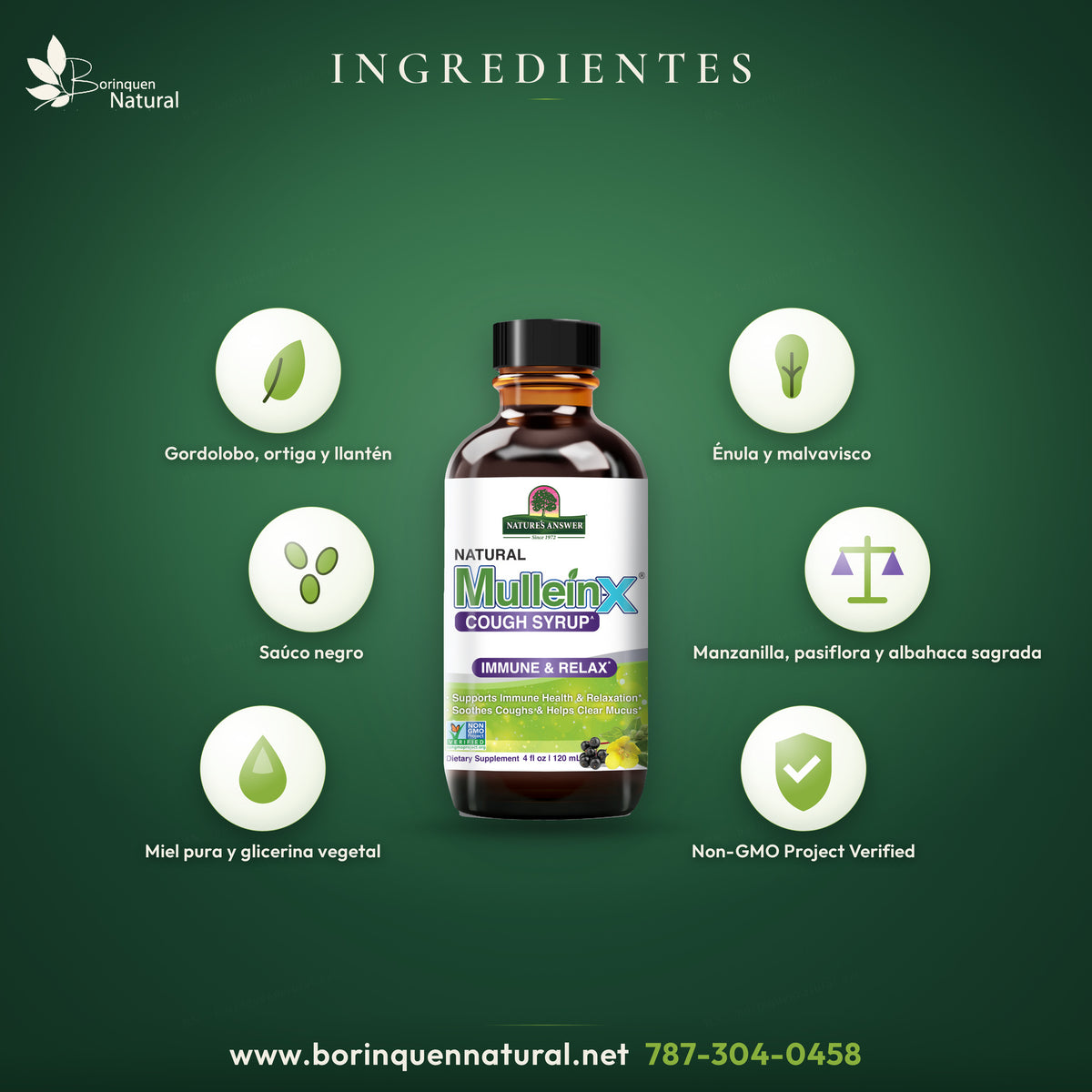 Mullein-X Jarabe de Gordolobo para la Tos, Nature's Answer 4 oz — etiqueta con los ingredientes