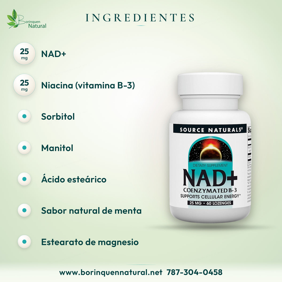 Ingredientes del NAD+ Source Naturals: NAD+, niacina, sorbitol, manitol, menta, ácido esteárico y estearato de magnesio