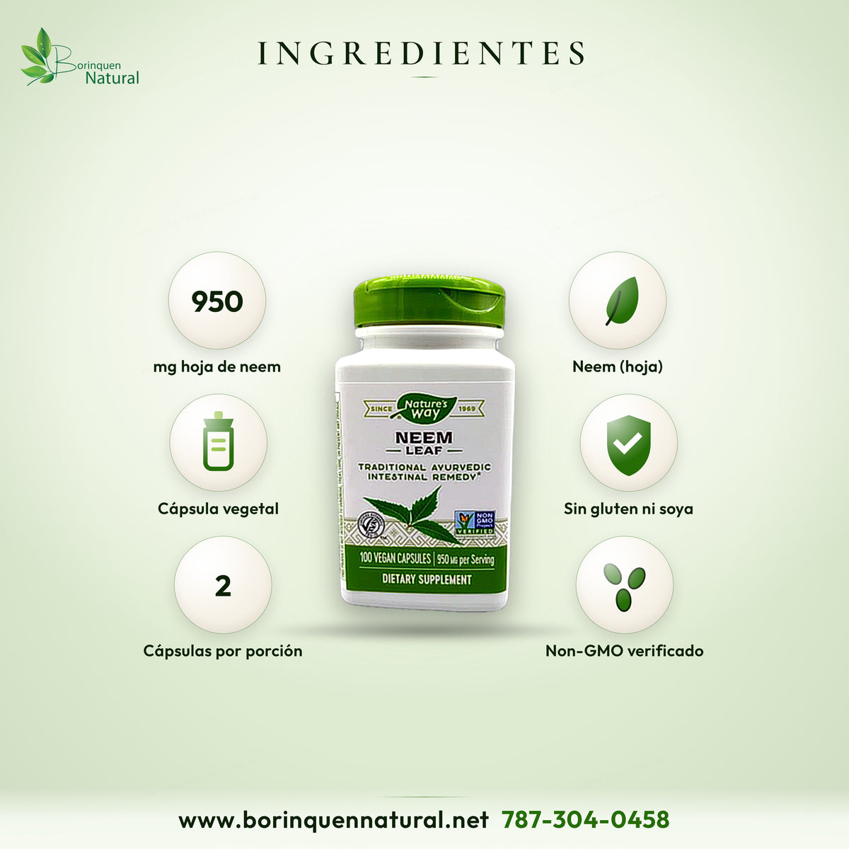 Ingredientes de Neem Leaf Nature's Way por porción de 2 cápsulas: 950 mg de hoja de neem en cápsula vegetal de hipromelosa