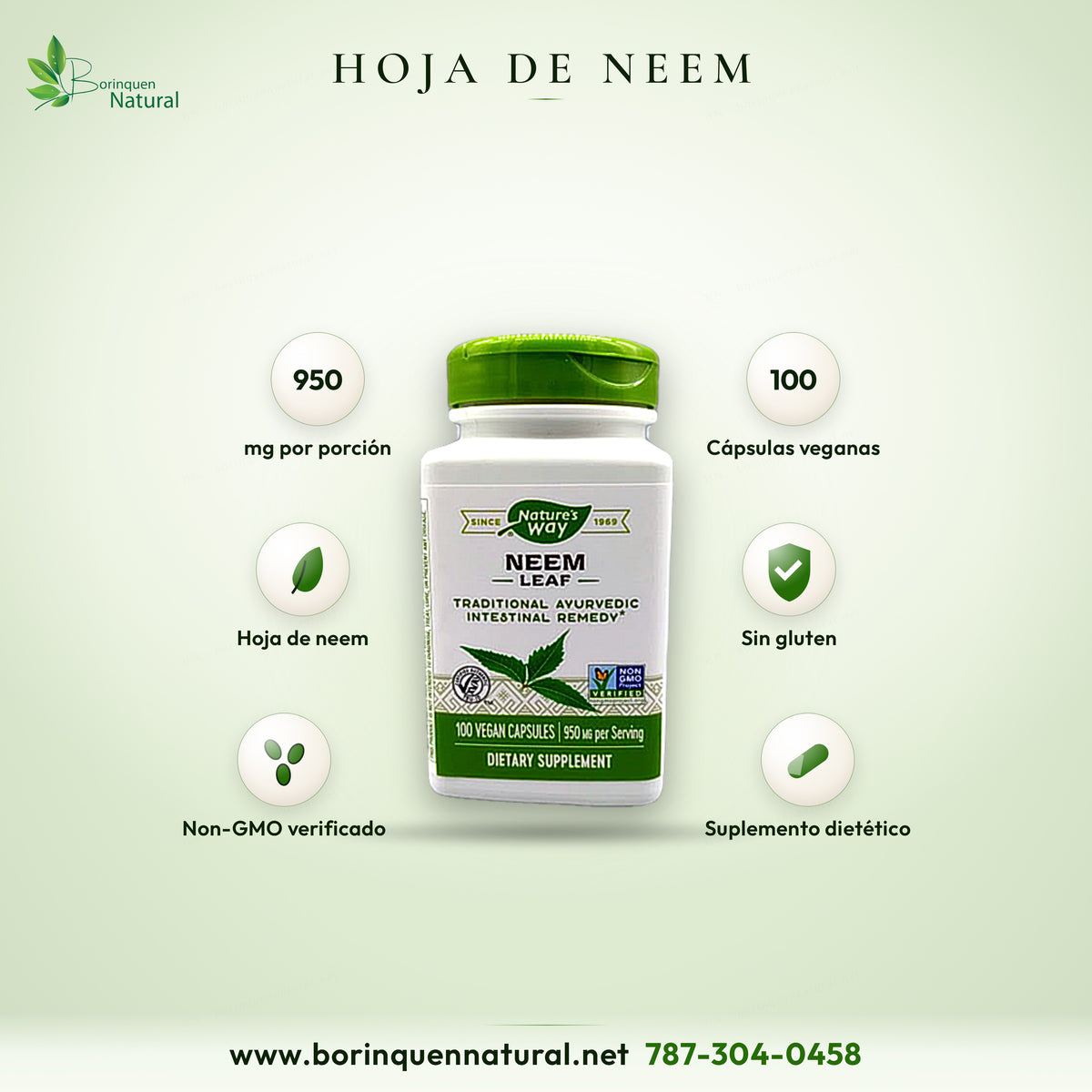 Neem Leaf de Nature's Way, hoja de neem 950 mg por porción, suplemento dietético, 100 cápsulas veganas