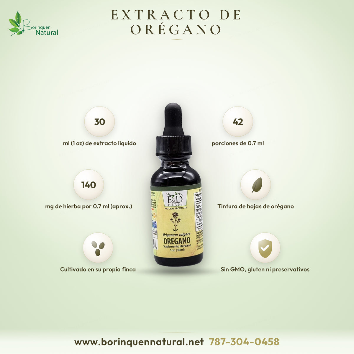 Extracto líquido de orégano (Origanum vulgare) de E&D Herbs, frasco gotero de 1 oz (30 ml), suplemento herbario hecho en Puerto Rico