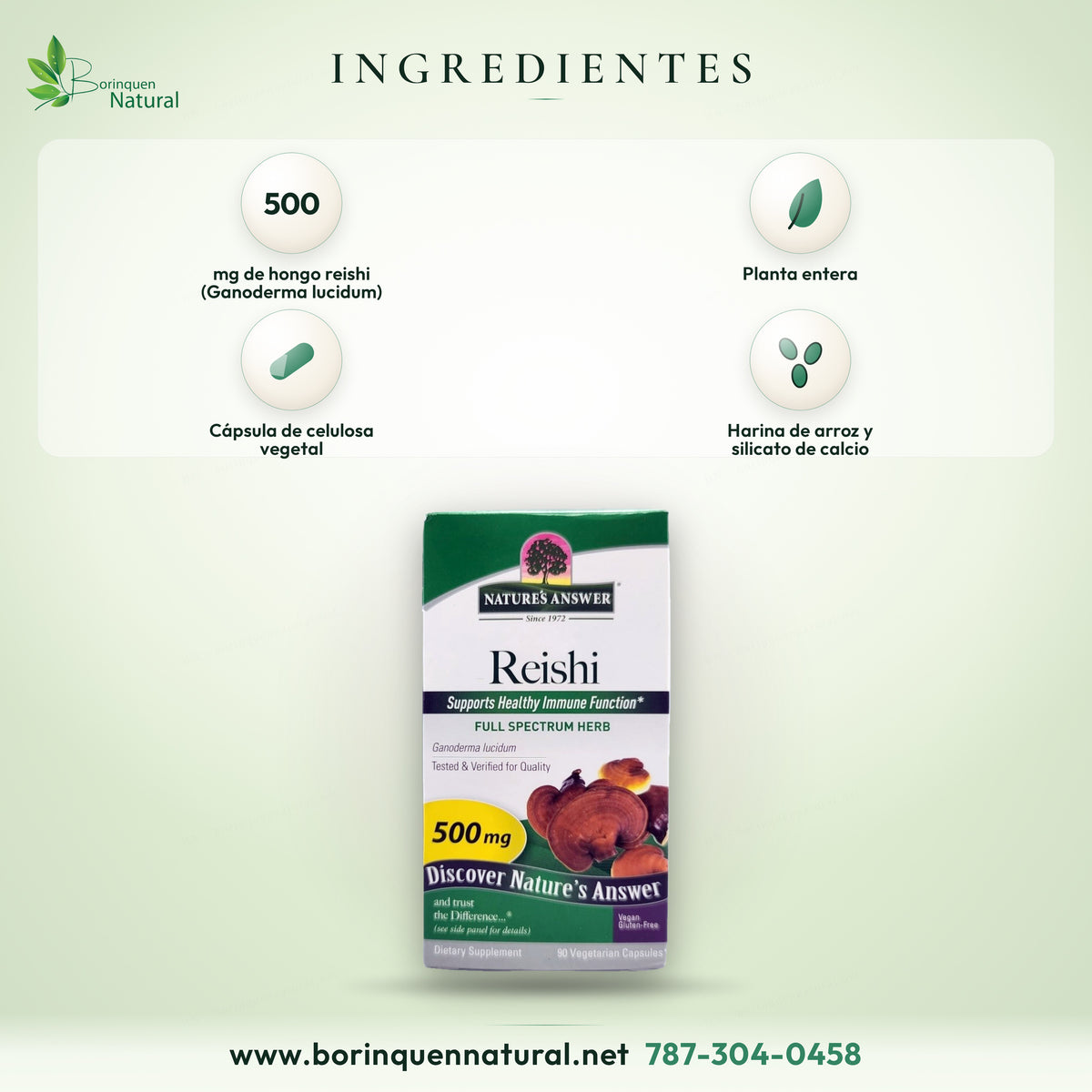 Ingredientes del Reishi de Nature's Answer: 500 mg de hongo reishi (Ganoderma lucidum) de planta entera por cápsula