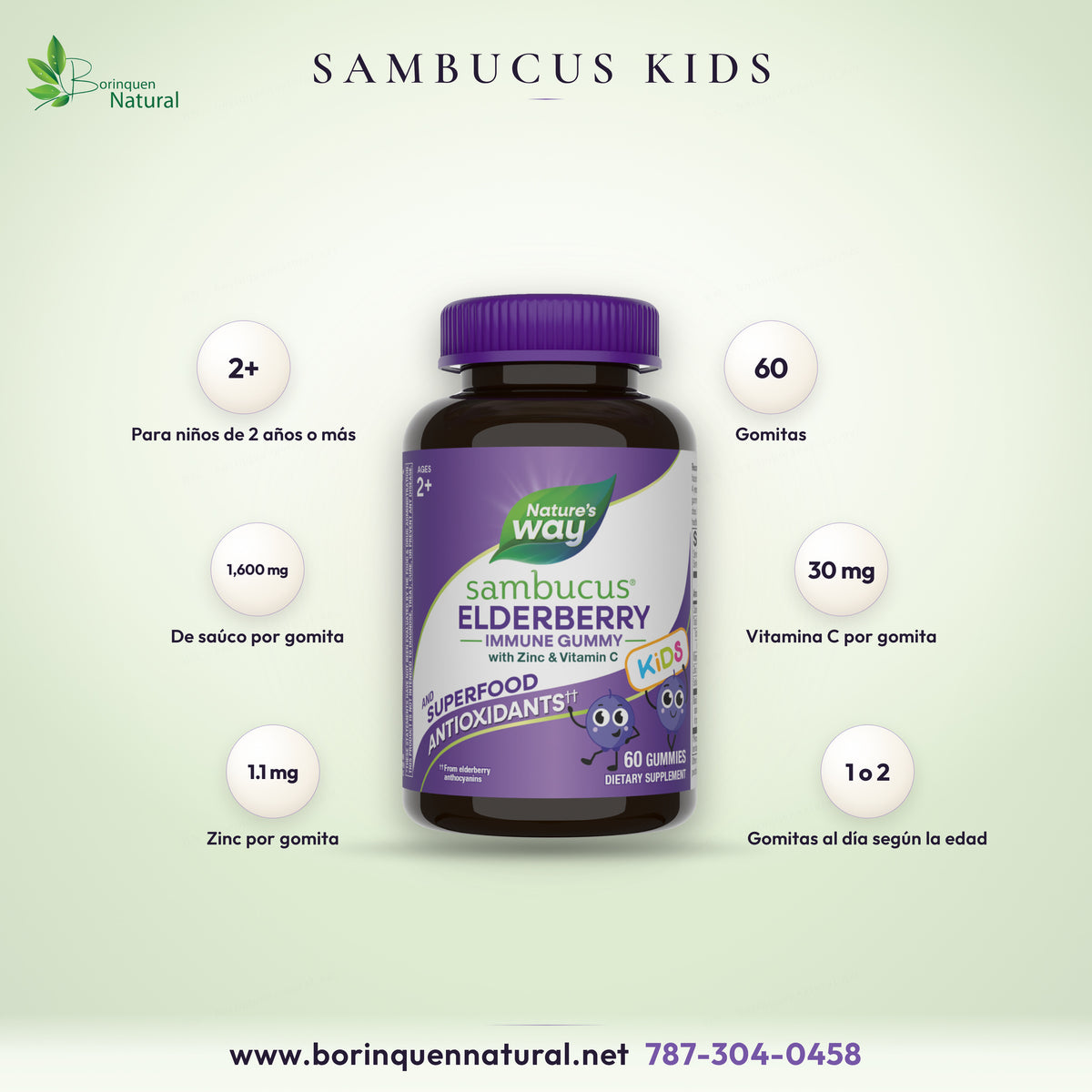 Sambucus Elderberry Gummy Kids de Nature's Way, gomitas de saúco con zinc y vitamina C para niños de 2 años en adelante, frasco de 60 gomitas