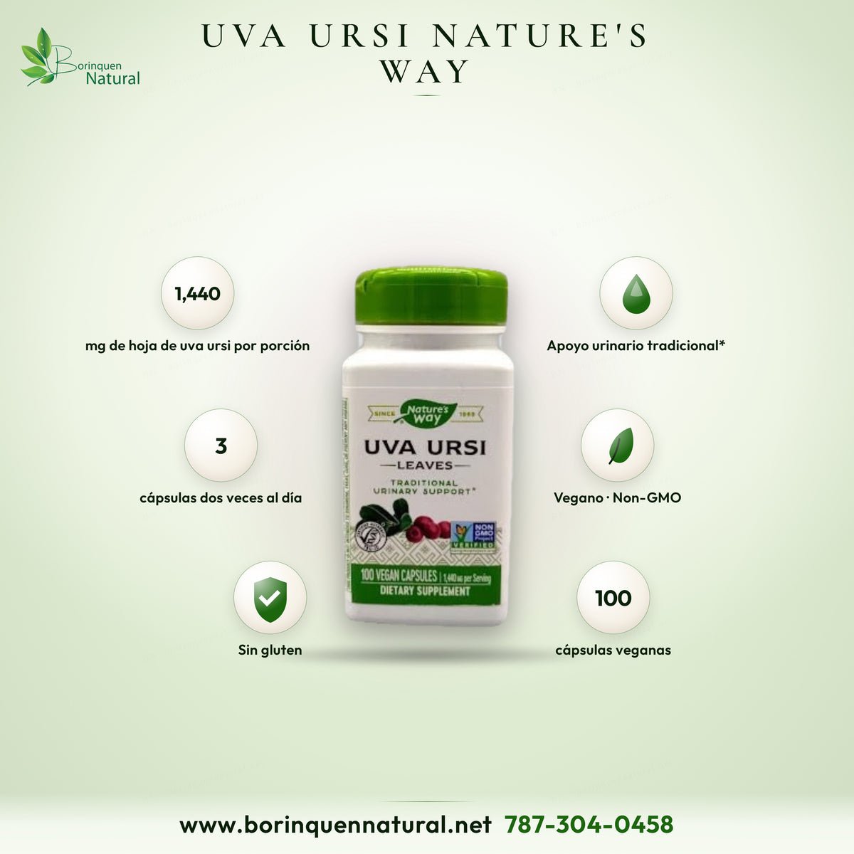 Uva Ursi Leaves de Nature's Way, hoja de gayuba de 1,440 mg por porción para el apoyo urinario tradicional, frasco de 100 cápsulas veganas