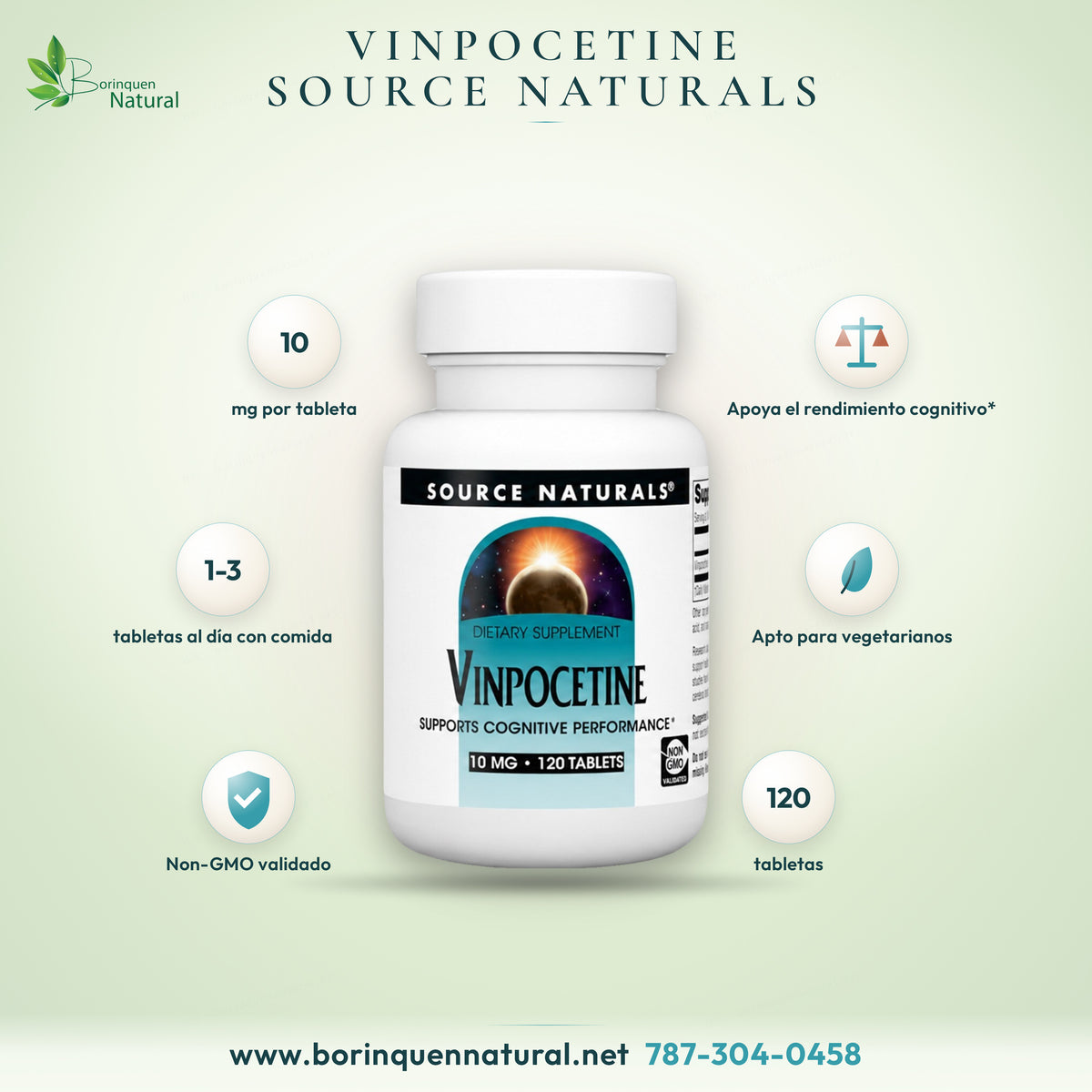 Vinpocetine 10 mg de Source Naturals, apoyo al rendimiento cognitivo, frasco de 120 tabletas