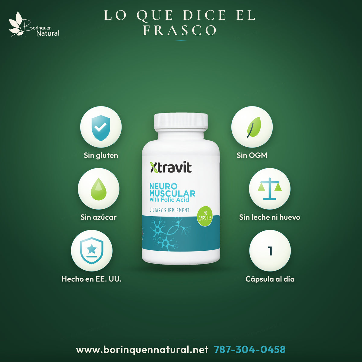 Neuro Muscular de Xtravit: sin gluten, sin OGM, sin azúcar, sin leche ni huevo, sin maní ni soya, hecho en Estados Unidos