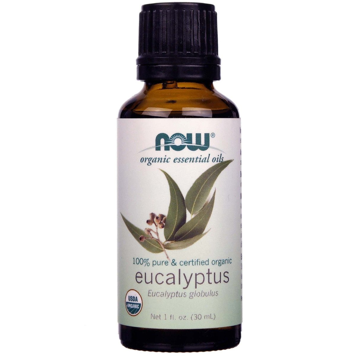 Eucalyptus Oil - 30ml - 1oz