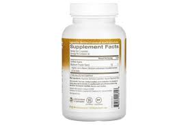 Lion's Mane Mushroom Superfood 667 MG 90 Caps (foto de archivo)