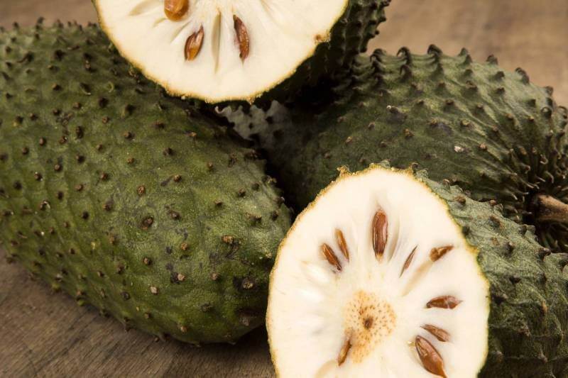 Aceite de Guanábana: Beneficios y Propiedades para tu Salud - Borinquen Natural Online