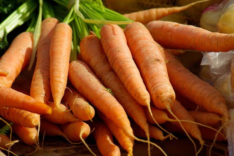 ¿Cuáles son los beneficios y propiedades de la zanahoria para la piel? - Borinquen Natural Online