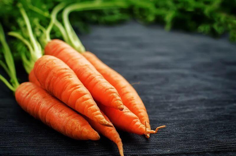 Toda la verdad sobre el colágeno vegetal - Borinquen Natural Online