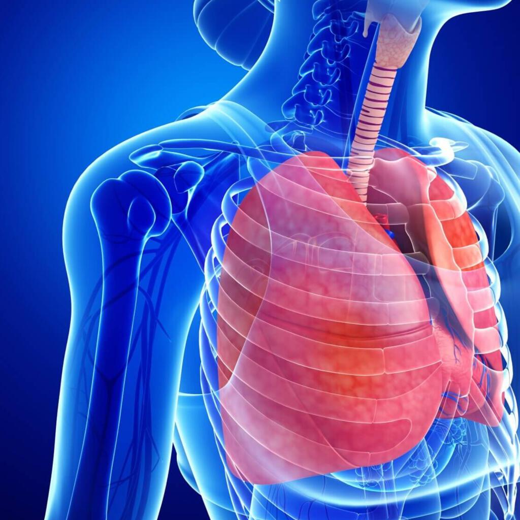 Natural Products for Cough and Throat