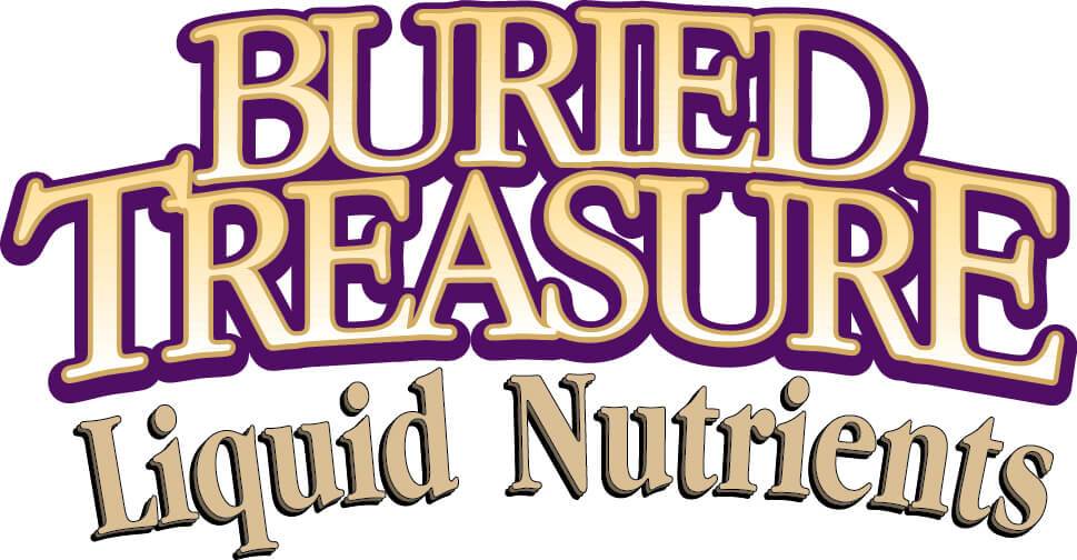 Buried Treasure