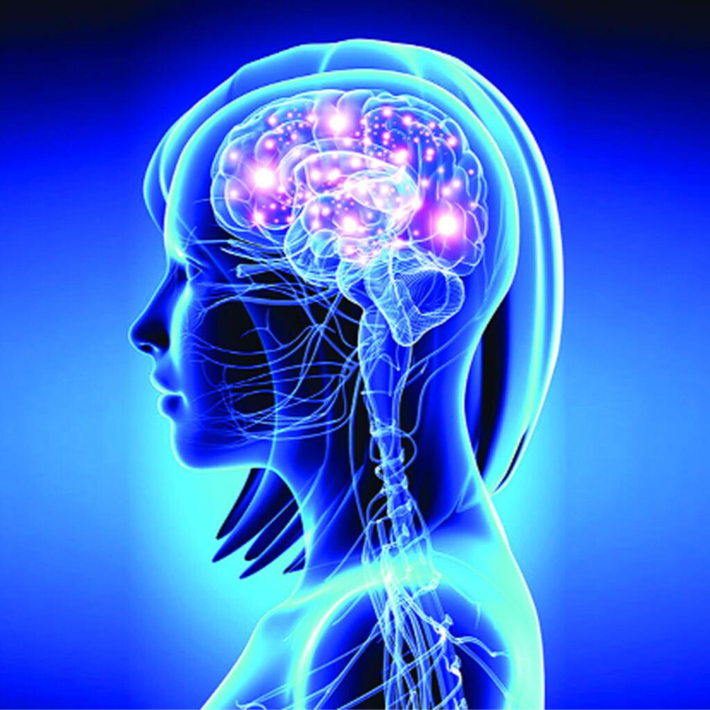 Memory and Concentration