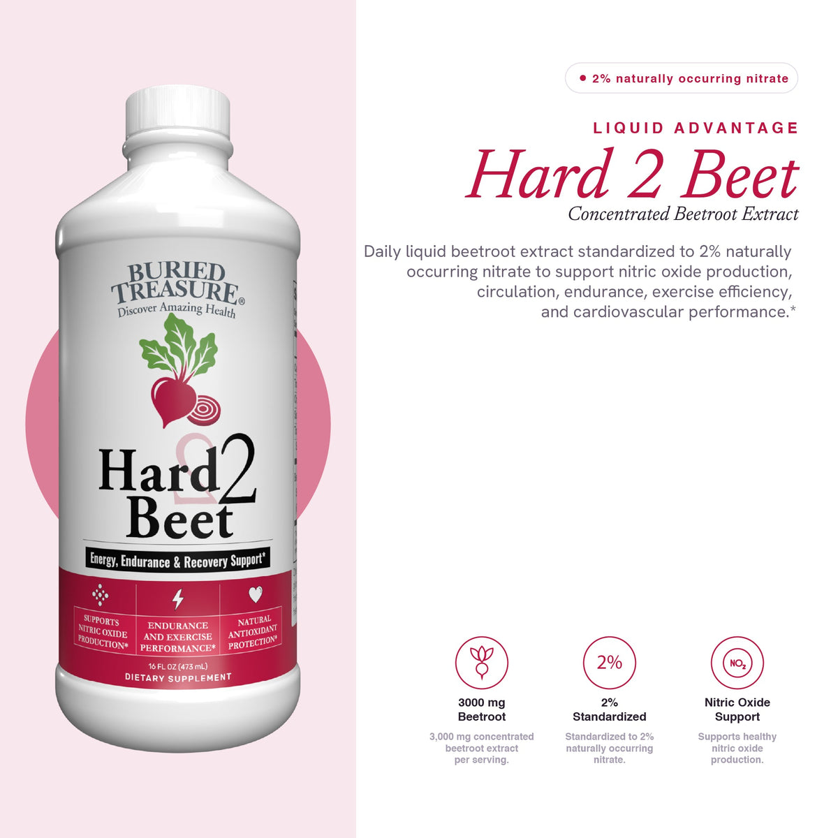 Buried Treasure Hard 2 Beet 16 oz (48 servings)