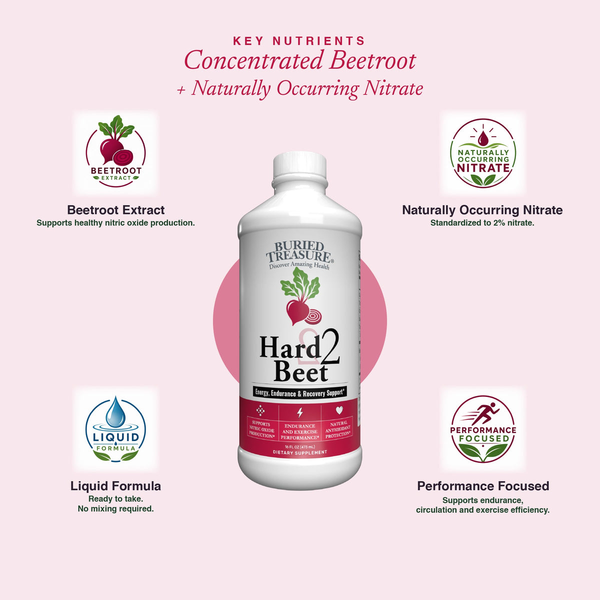 Buried Treasure Hard 2 Beet 16 oz (48 servings)