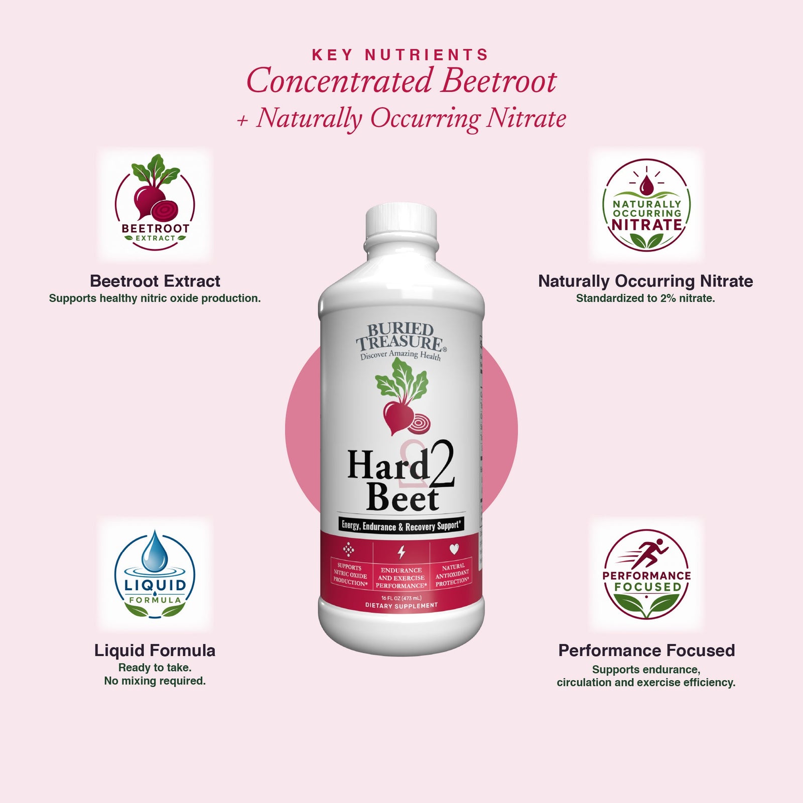 Buried Treasure Hard 2 Beet 16 oz (48 servings)