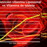 Liposomal Vitamin C Power C 16 oz for Immunity and Skin