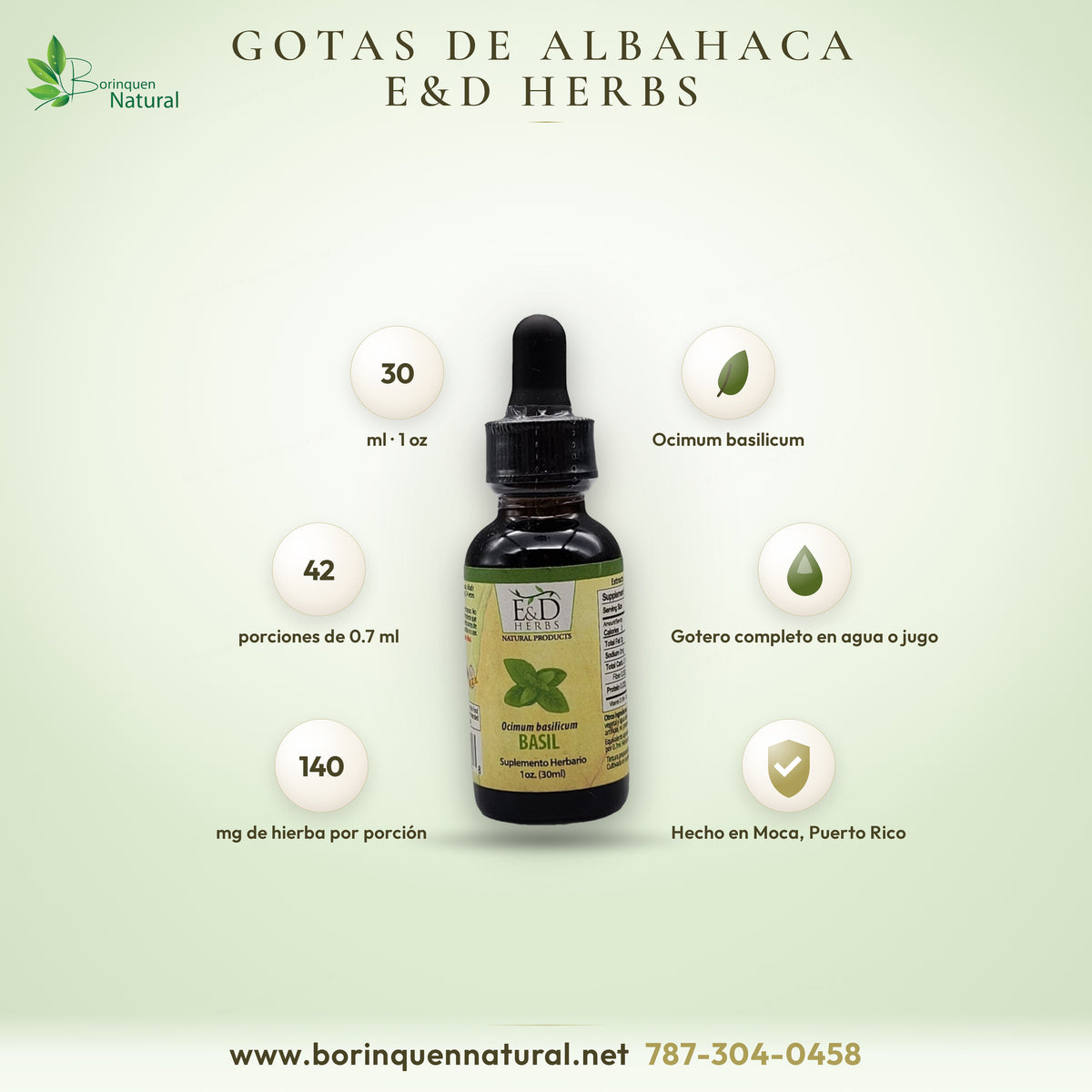 Extracto líquido de albahaca (Ocimum basilicum) de E&D Herbs, suplemento herbario de Moca, Puerto Rico, gotero de 1 oz
