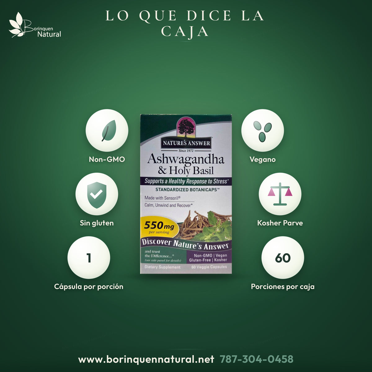 Ashwagandha & Holy Basil de Nature's Answer: Non-GMO, vegano, sin gluten y kosher, 1 cápsula por porción