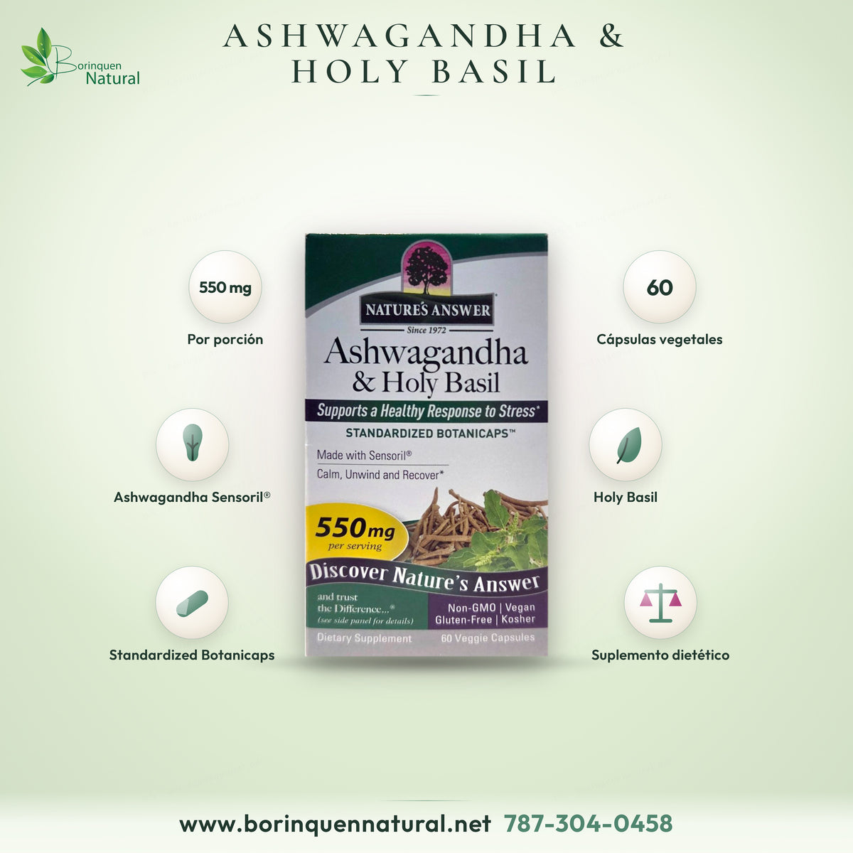 Ashwagandha & Holy Basil de Nature's Answer, 550 mg por porción, caja de 60 cápsulas vegetales