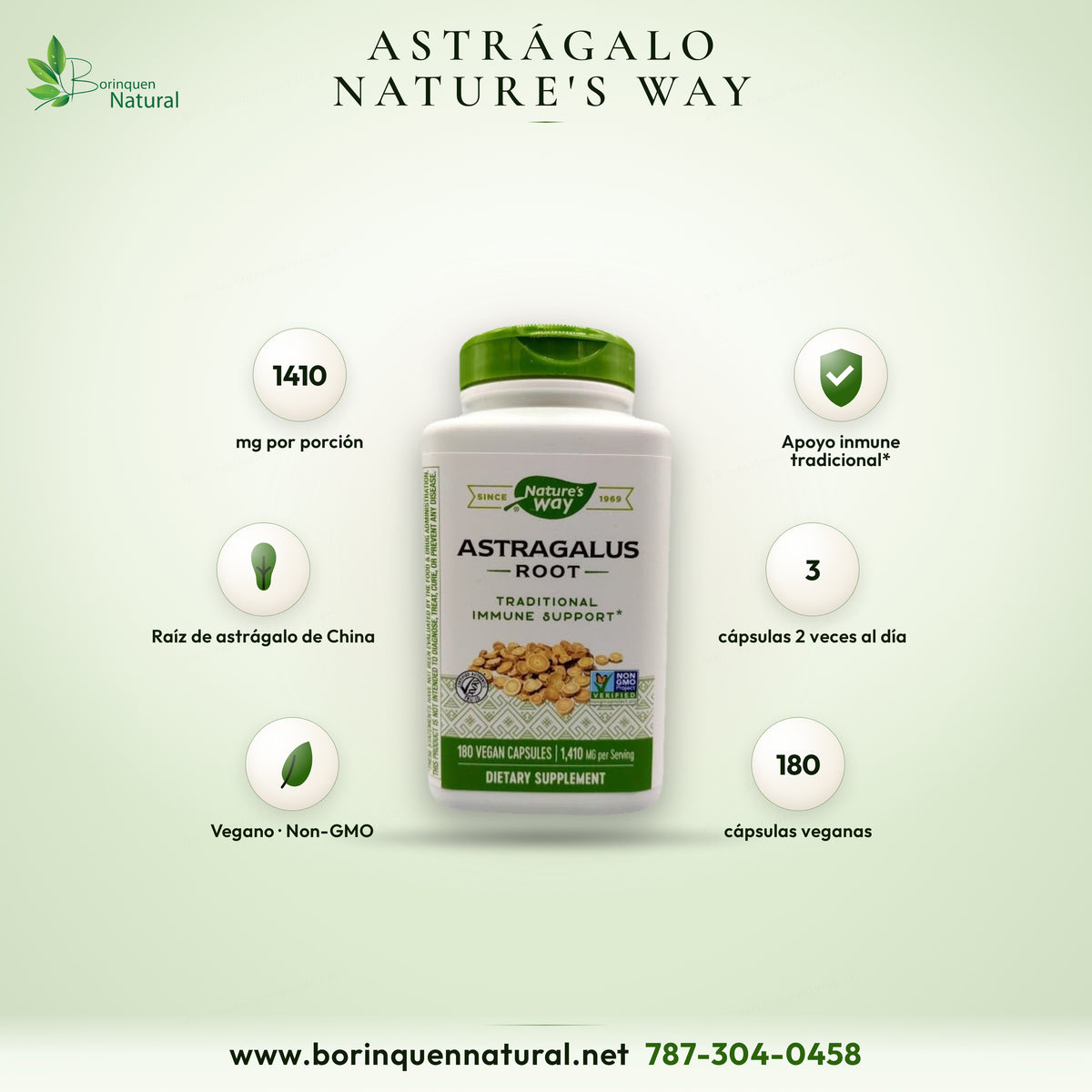 Raíz de astrágalo de Nature's Way, apoyo inmune tradicional, frasco de 180 cápsulas veganas