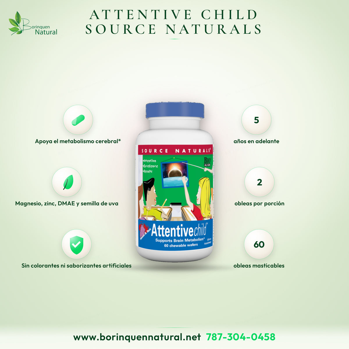 Attentive Child de Source Naturals, suplemento para niños que apoya el metabolismo cerebral, frasco de 60 obleas masticables sabor a fruta