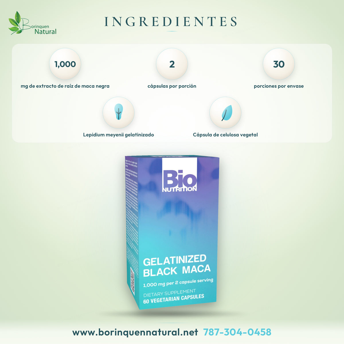 Ingredientes del Gelatinized Black Maca: 1,000 mg de extracto de raíz de maca negra gelatinizada (Lepidium meyenii) por porción de 2 cápsulas