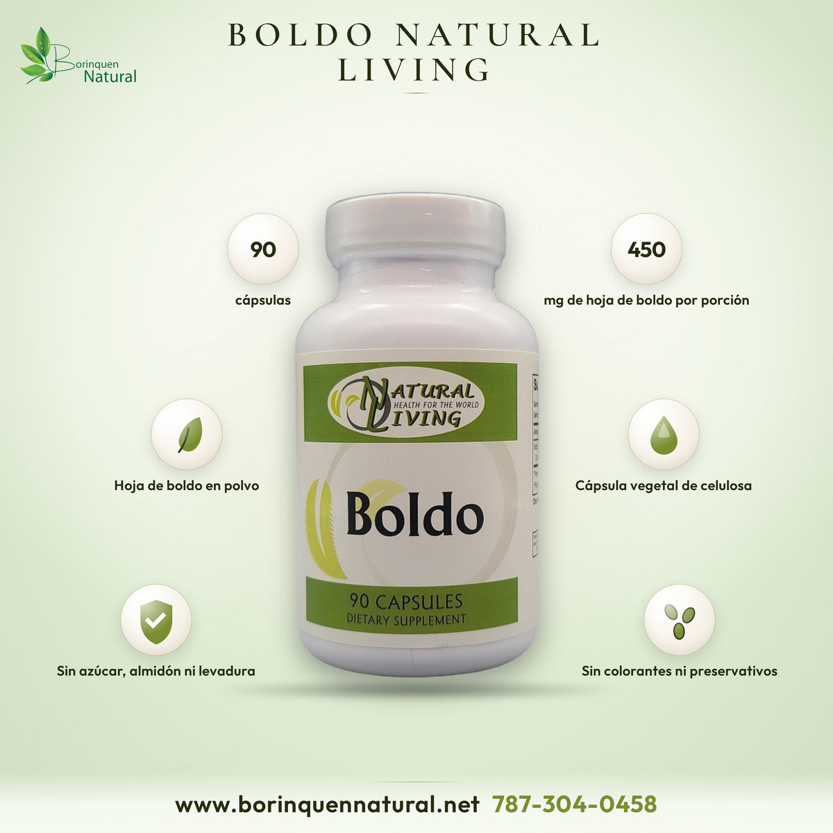 Boldo de Natural Living, suplemento dietético de hoja de boldo en polvo, frasco de 90 cápsulas