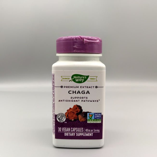 Chaga Supports Antioxidant Pathways