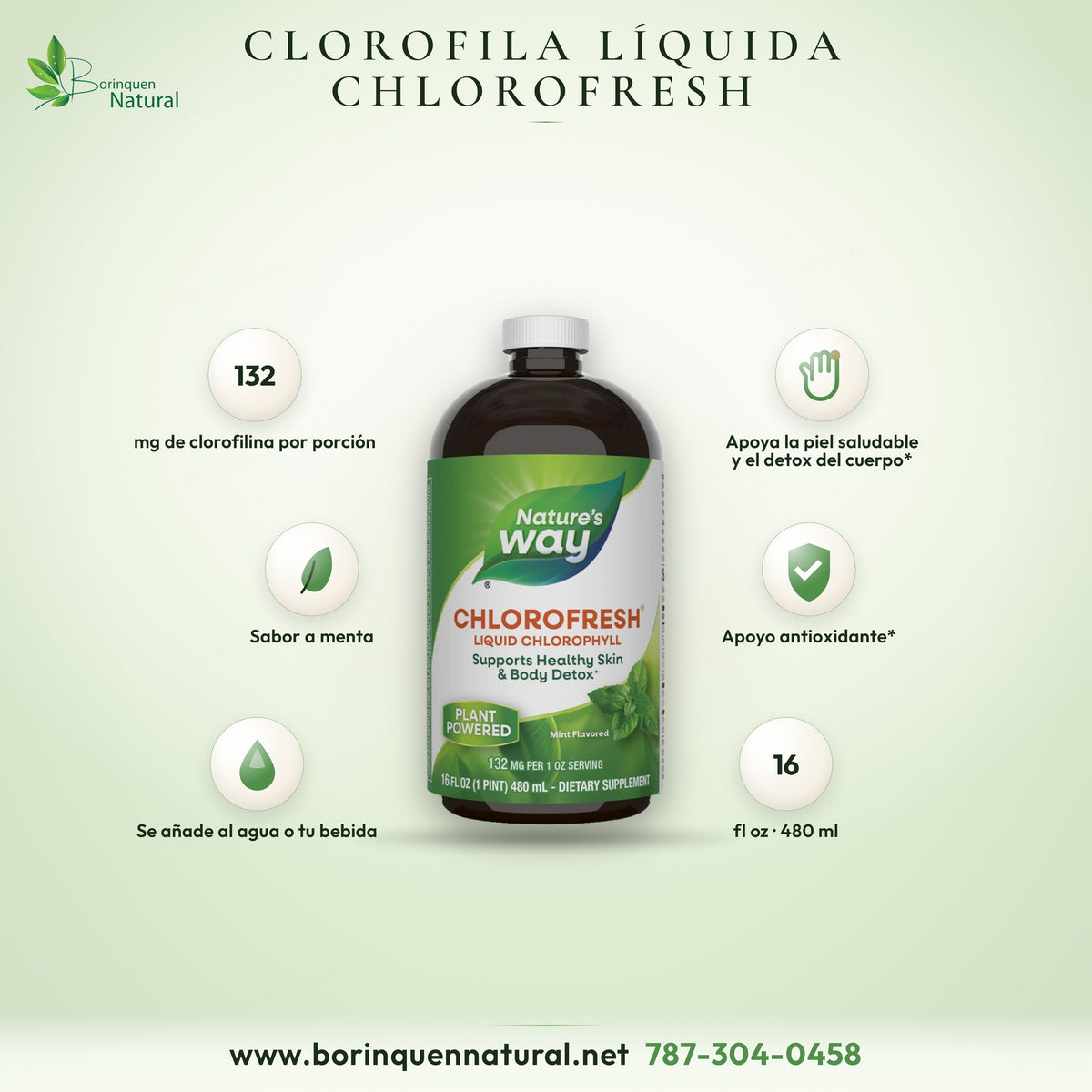 Chlorofresh de Nature's Way, clorofila líquida sabor menta, botella de 16 fl oz (480 ml)
