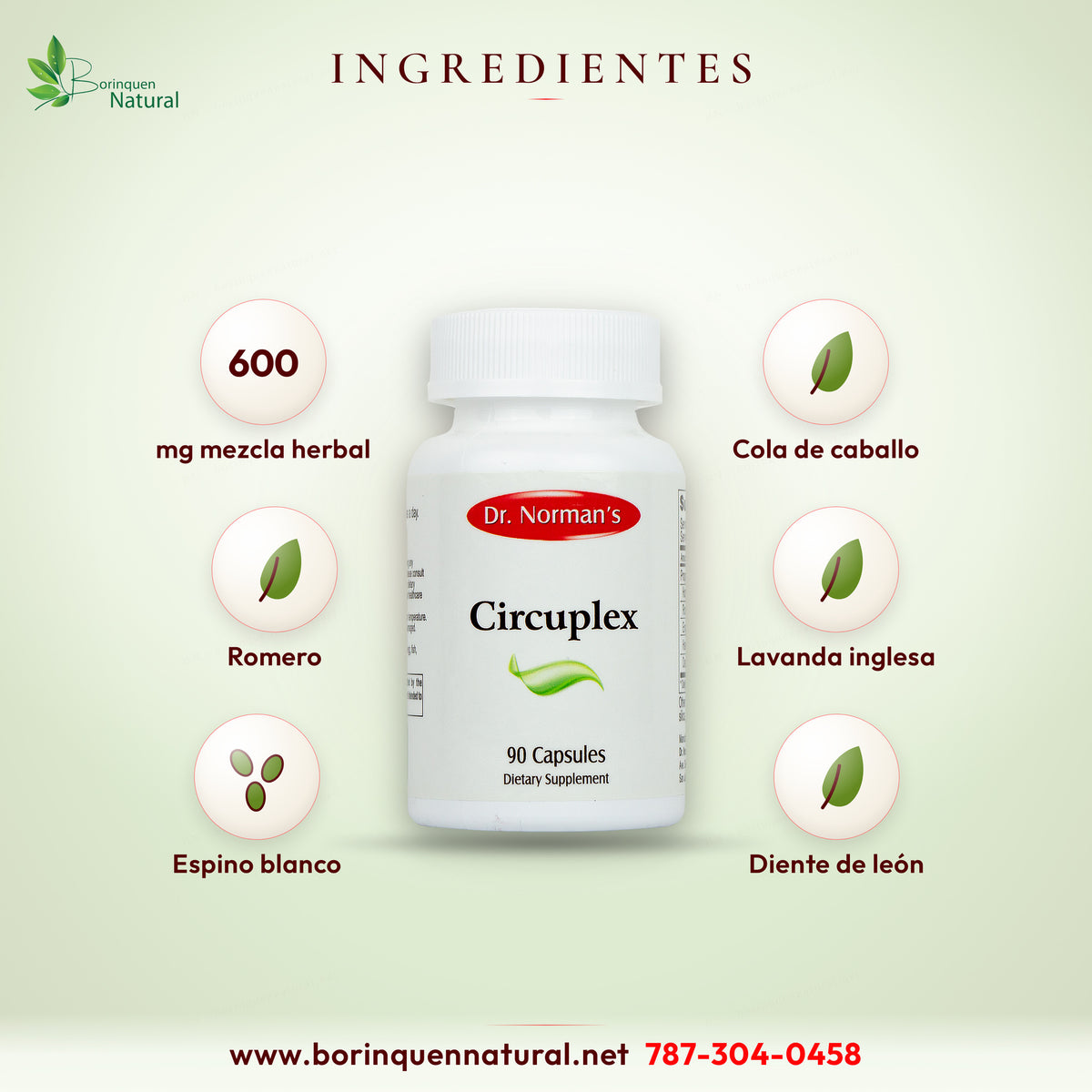Ingredientes de Circuplex: mezcla de 600 mg de cola de caballo, romero, lavanda inglesa, espino blanco y diente de león por porción de 2 cápsulas