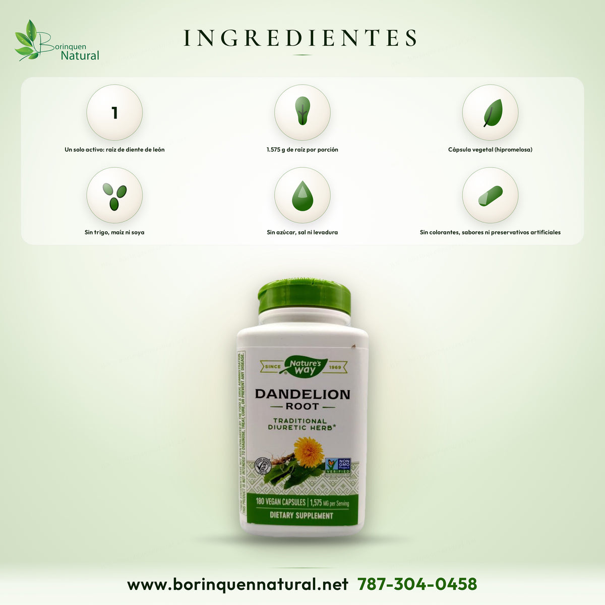 Ingredientes de la raíz de diente de león de Nature's Way: 1.575 g de raíz por porción en cápsula vegetal, sin gluten, azúcar, sal, levadura, trigo, maíz, soya ni lácteos