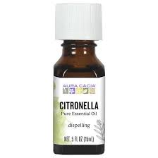 Essential Oil Citronella Java 0.5 fl oz