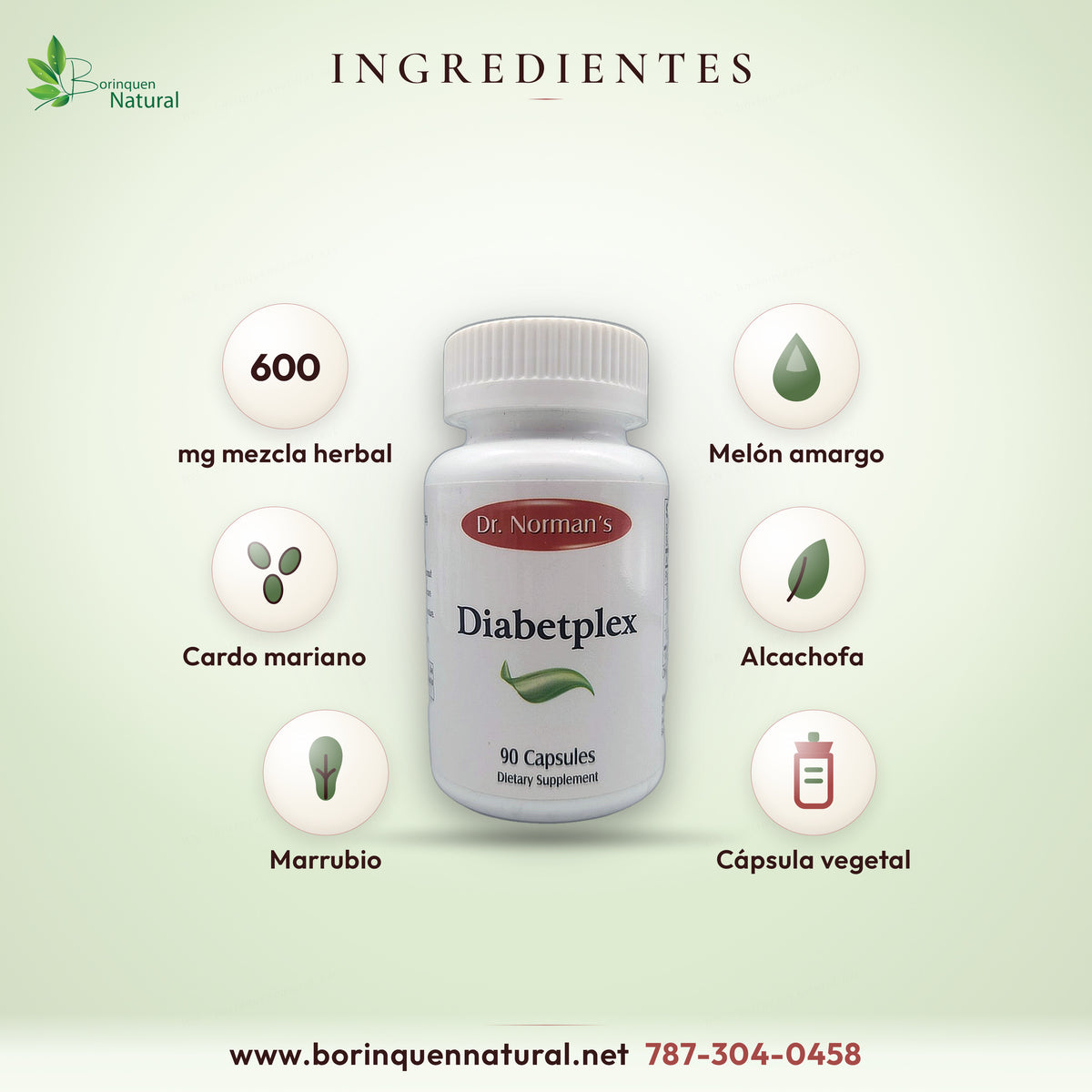 Ingredientes de Diabetplex: mezcla de 600 mg de melón amargo, cardo mariano, alcachofa y marrubio por porción de 2 cápsulas