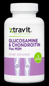 Glucosamine &amp; Chondroitin Plus MSM 60 Caps