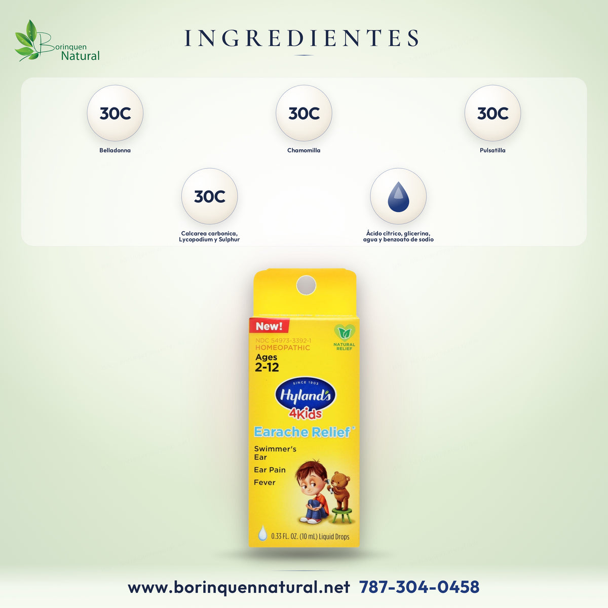 Ingredientes activos de Hyland's 4 Kids Earache Relief: Belladonna, Calcarea carbonica, Chamomilla y 3 más, 30C HPUS