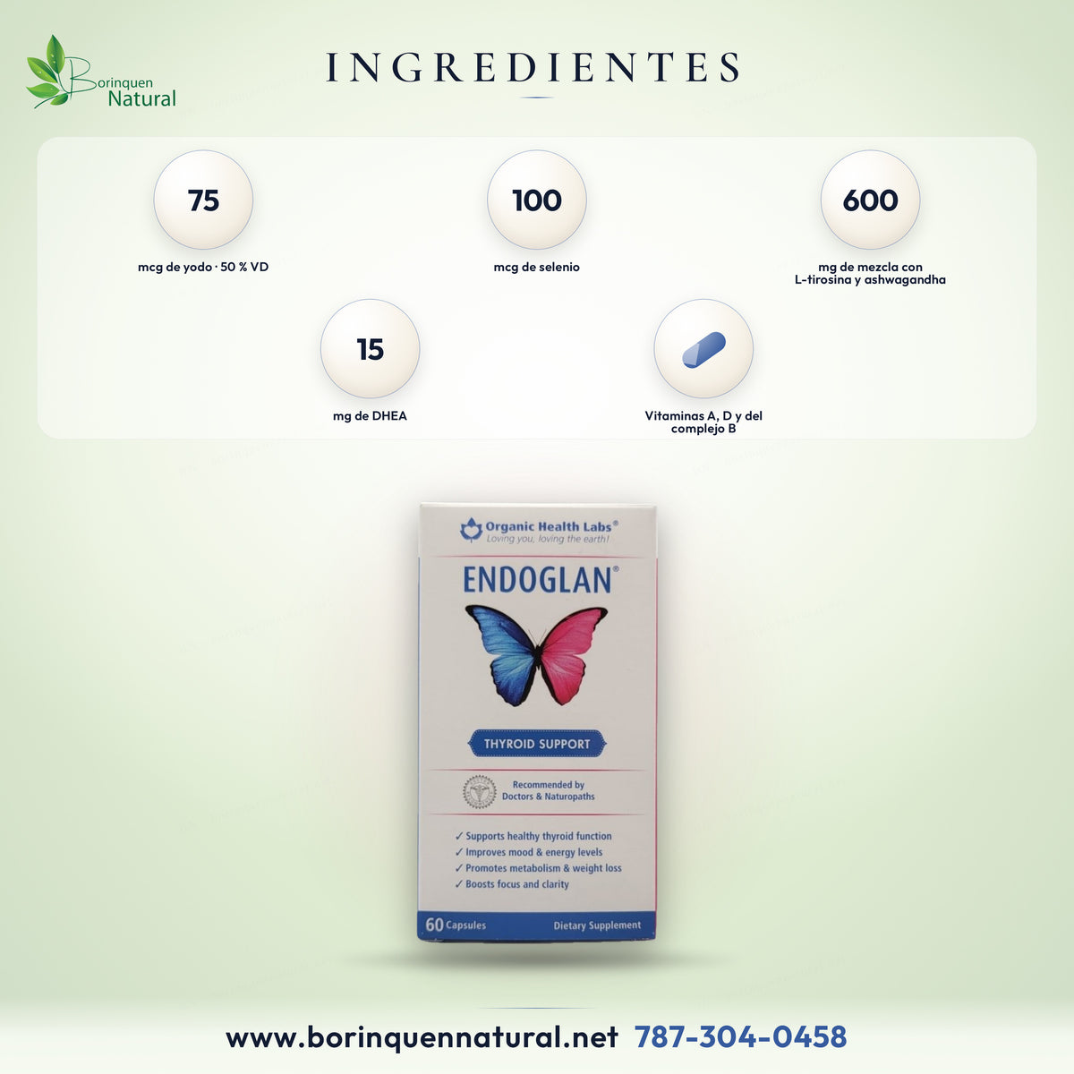 Endoglan ingredients: vitamins, kelp iodine, selenium, zinc and a 600 mg blend with L-tyrosine and ashwagandha